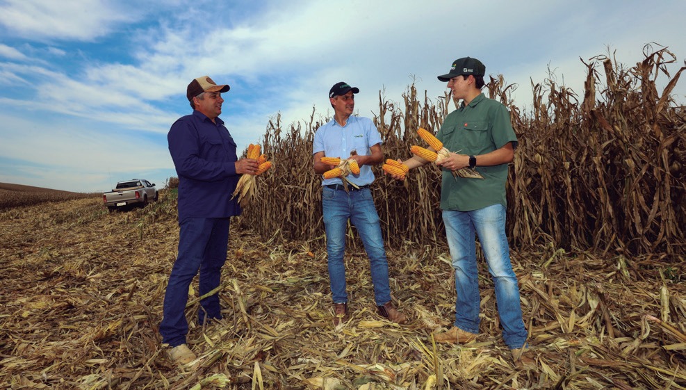 Sérgio Romagnolo com o filho Guilherme e o engenheiro agrônomo Rodrigo Dutra segurando espigas de milho