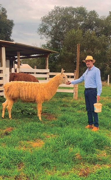 Pedro Reis alimentando um lhama na propriedade