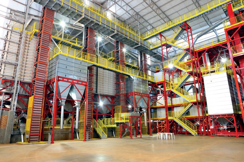 Sementes Coamo ensacadas para distribuição