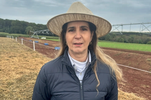Graziela Moraes de Cesare Barbosa, do IDR-Paraná
