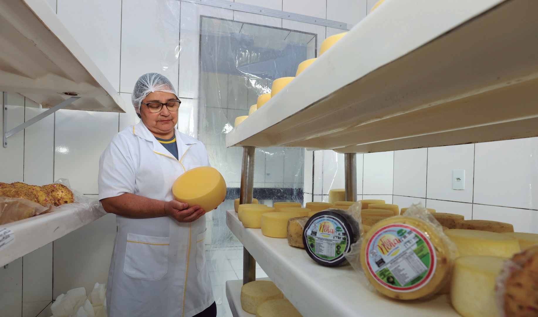 Mulher de jaleco e touca segurando um queijo em prateleira de matura&ccedil;&atilde;o da queijaria