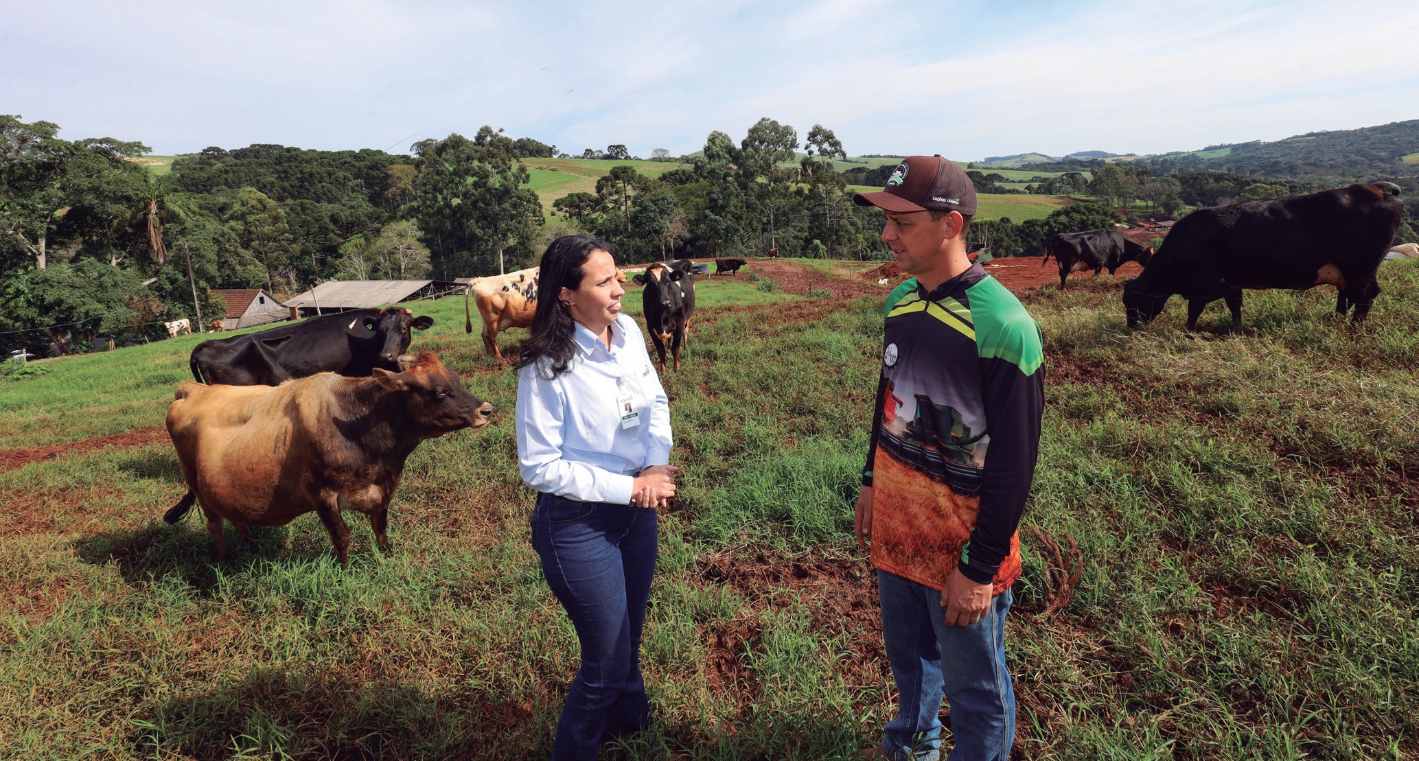 Cooperado e m&eacute;dica veterin&aacute;ria conversando em pastagem com vacas ao fundo