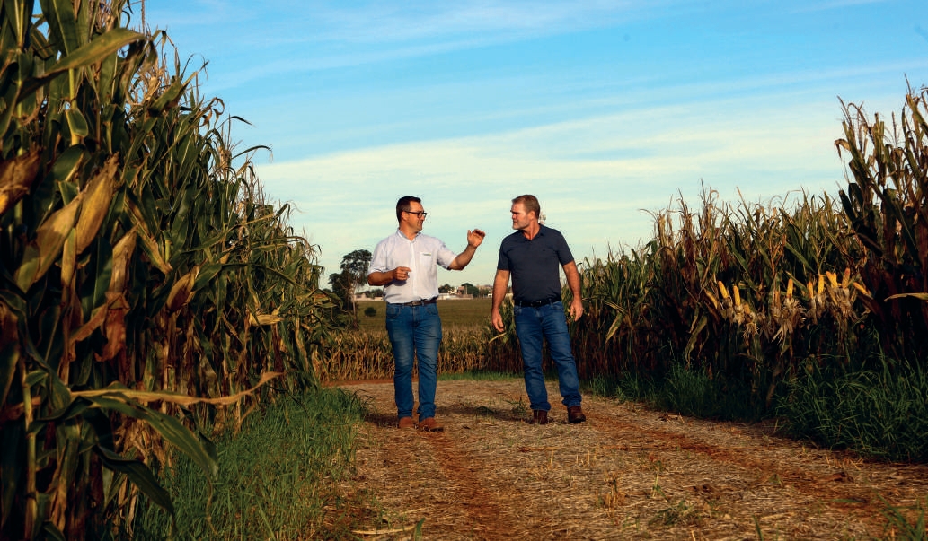 Engenheiro agrônomo, Diego Rodrigo Niedermeyer, com o cooperado Adriano Heck