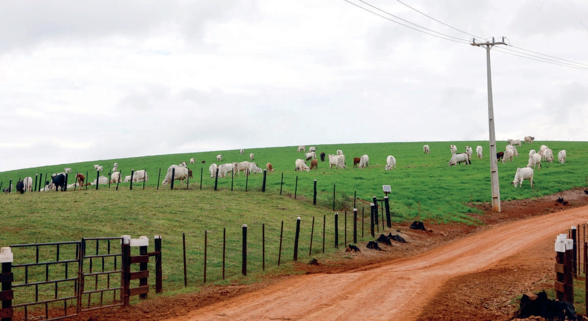Propriedade da Família Andreoli em Manoel Ribas (PR)