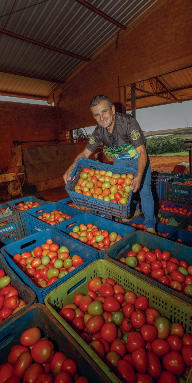 Cooperado Osmarlei em Marilândia do Sul