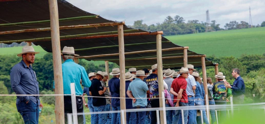 Esta&ccedil;&atilde;o de manejo nutricional na Fazenda Experimental