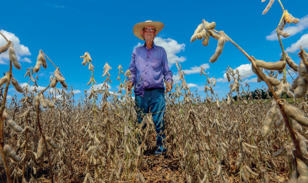 Cooperado Anten&oacute;rio Possamai no meio da lavoura de soja