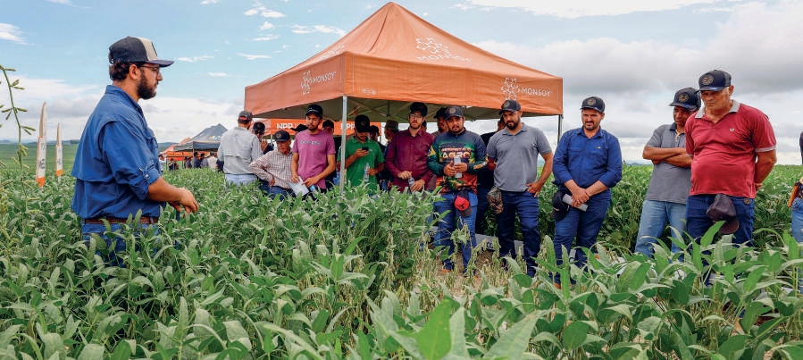 Dia de Campo em Quinta do Sol com produtores em lavoura de soja