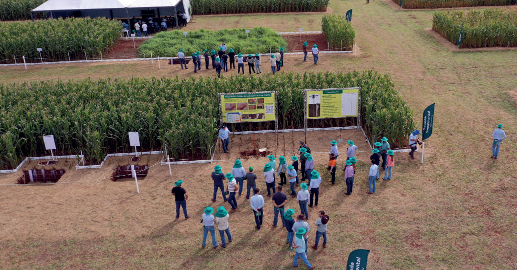 Vista aérea dos experimentos na Fazenda Experimental