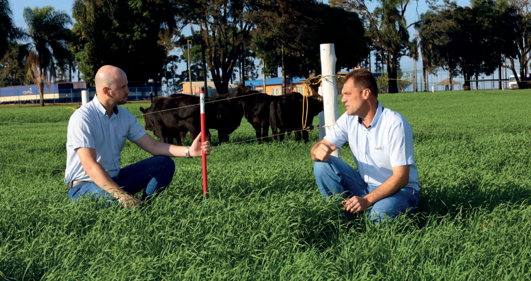 Engenheiro agrônomo, Vinicius Albarello, e o médico veterinário, Clécio Mangolin, acompanham desenvolvimento da pastagem na Fazenda Experimental em Campo Mourão
