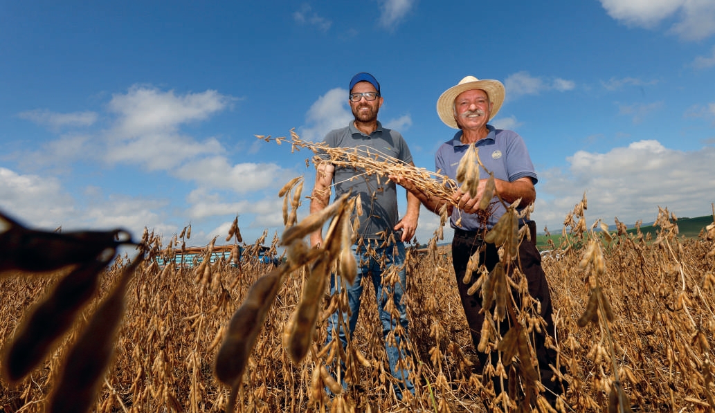 Renato e Volmir Marin segurando plantas de soja na lavoura