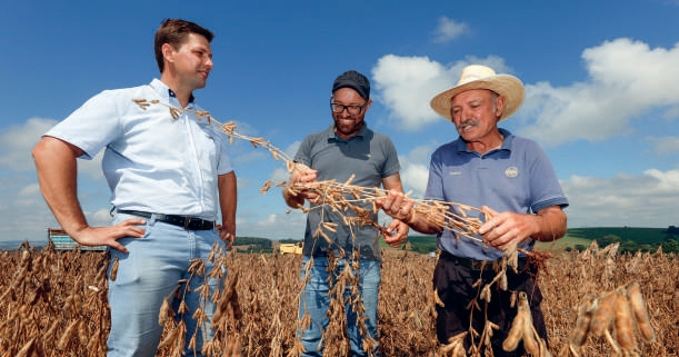 M&aacute;rio Mezzari junto aos cooperados Renato e Volmir analisando a planta de soja