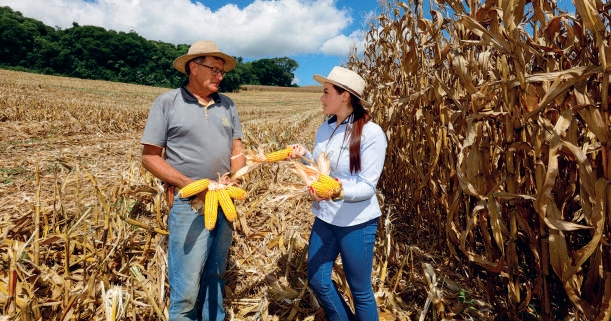 Alsir Bareta com a engenheira Caroline Pontes na lavoura de milho colhido