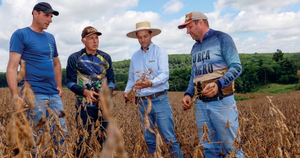 Membros da fam&iacute;lia Fiorentin com o agr&ocirc;nomo Roberto Ely analisando soja na m&atilde;o