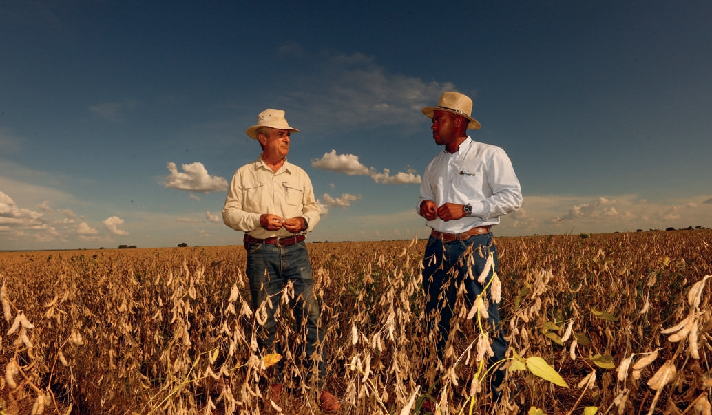 Cooperado Claudio Spartaco Beretta e engenheiro agr&ocirc;nomo Bruno Henrique na lavoura