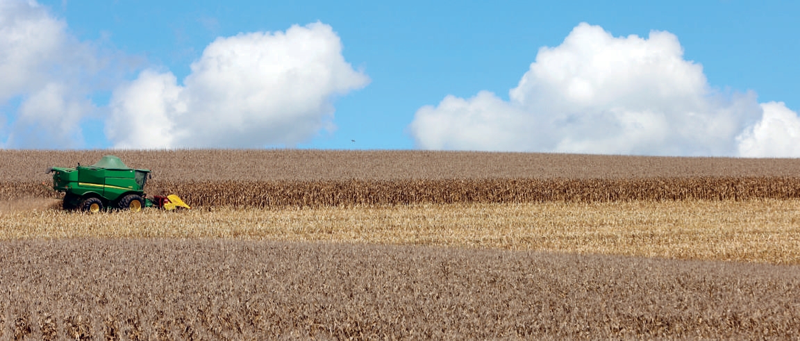 Colheitadeira verde em opera&ccedil;&atilde;o colhendo soja na lavoura