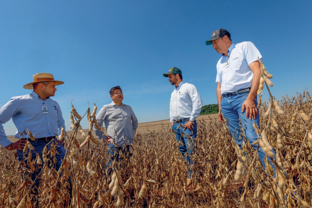 Equipe da Coamo e produtor reunidos na lavoura