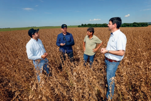 Quatro homens conversando em uma planta&ccedil;&atilde;o de soja