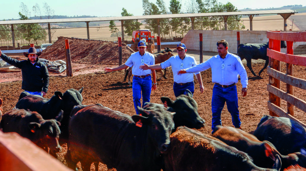 Homens em um curral manejando gado com camisas da Coamo.