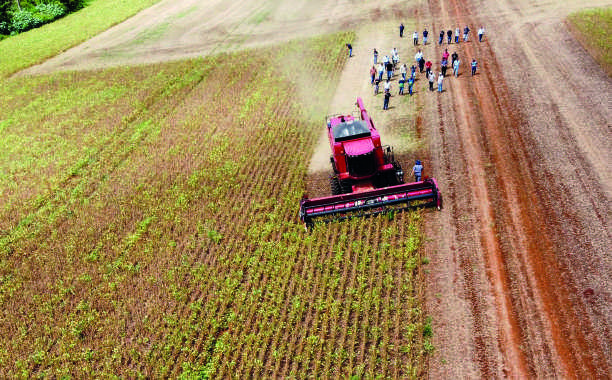 Treinamento em campo de sementes, com colheitadeira em operação.